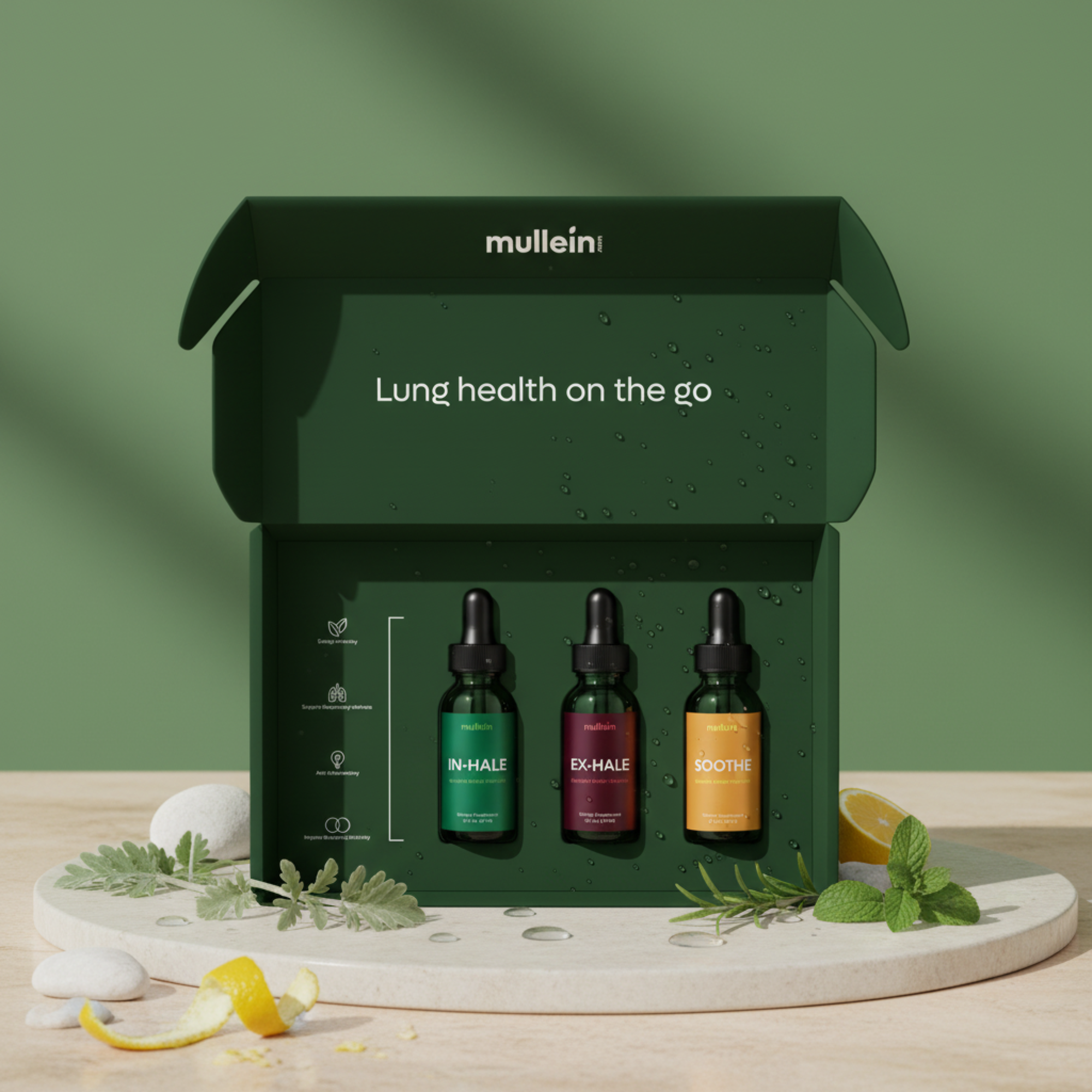 Mullein editorial case study hero visual